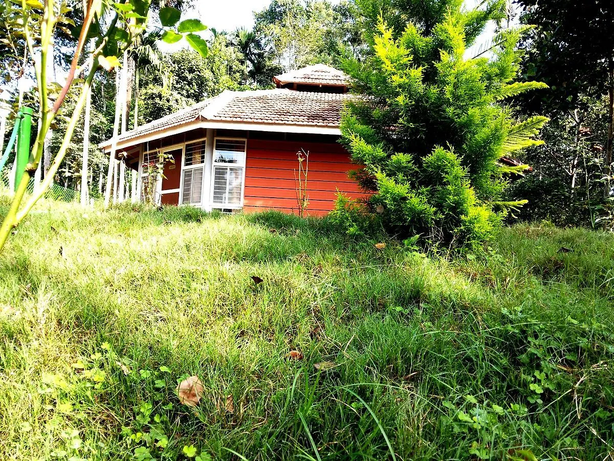 Rohini Resort Meenangadi
